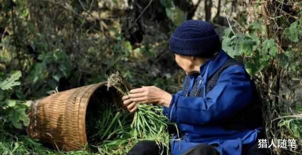 贷款政策婆婆都会仔细盘考左近的学校情况