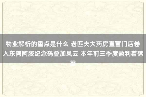 物业解析的重点是什么 老匹夫大药房直营门店卷入东阿阿胶纪念码叠加风云 本年前三季度盈利着落