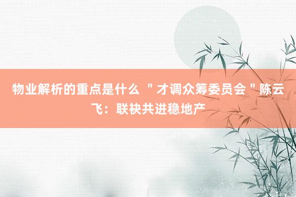 物业解析的重点是什么 ＂才调众筹委员会＂陈云飞：联袂共进稳地产