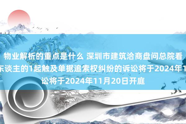 物业解析的重点是什么 深圳市建筑洽商盘问总院看成原告/上诉东谈主的1起触及单据追索权纠纷的诉讼将于2024年11月20日开庭