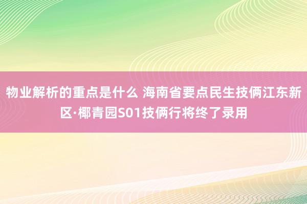 物业解析的重点是什么 海南省要点民生技俩江东新区·椰青园S01技俩行将终了录用