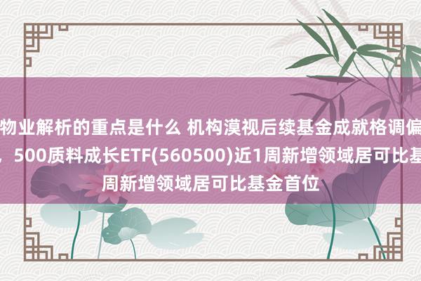 物业解析的重点是什么 机构漠视后续基金成就格调偏向成长，500质料成长ETF(560500)近1周新增领域居可比基金首位