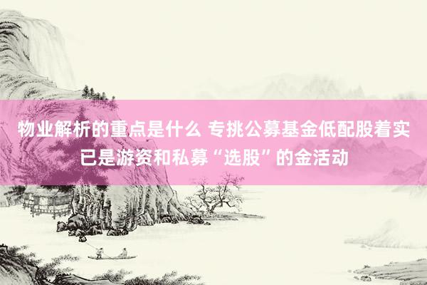 物业解析的重点是什么 专挑公募基金低配股着实已是游资和私募“选股”的金活动