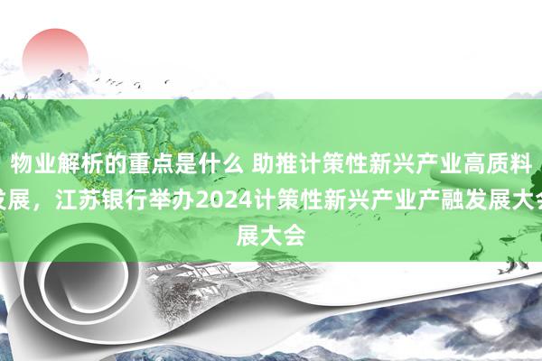 物业解析的重点是什么 助推计策性新兴产业高质料发展，江苏银行举办2024计策性新兴产业产融发展大会