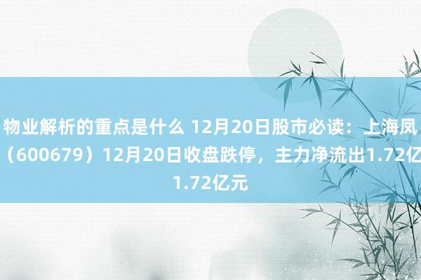 物业解析的重点是什么 12月20日股市必读：上海凤凰（600679）12月20日收盘跌停，主力净流出1.72亿元