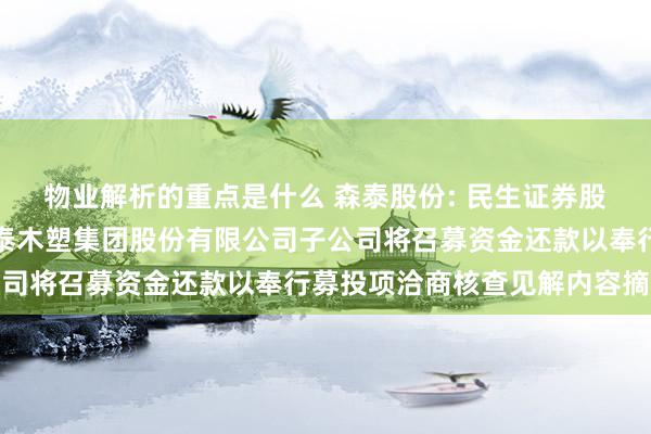 物业解析的重点是什么 森泰股份: 民生证券股份有限公司对于安徽森泰木塑集团股份有限公司子公司将召募资金还款以奉行募投项洽商核查见解内容摘录