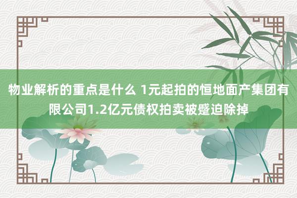 物业解析的重点是什么 1元起拍的恒地面产集团有限公司1.2亿元债权拍卖被蹙迫除掉