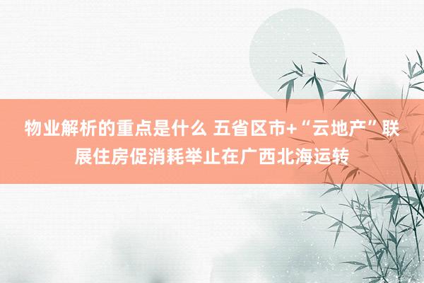 物业解析的重点是什么 五省区市+“云地产”联展住房促消耗举止在广西北海运转