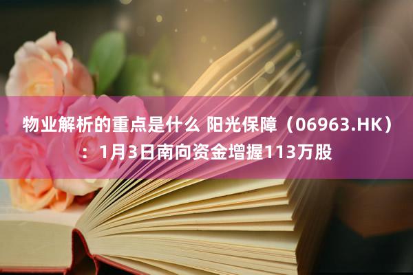 物业解析的重点是什么 阳光保障（06963.HK）：1月3日南向资金增握113万股