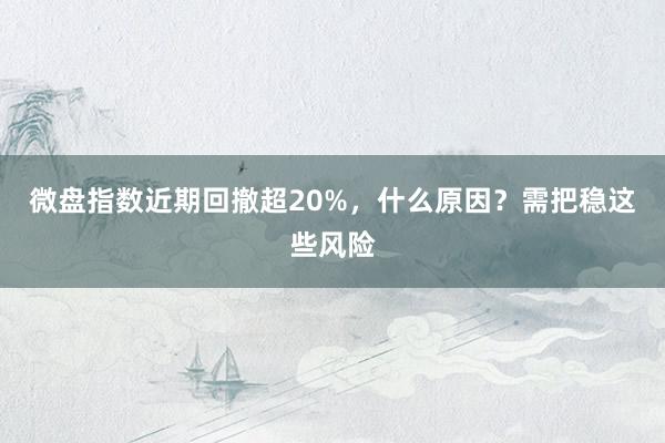 微盘指数近期回撤超20%，什么原因？需把稳这些风险