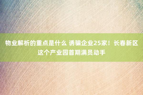 物业解析的重点是什么 诱骗企业25家！长春新区这个产业园首期满员动手