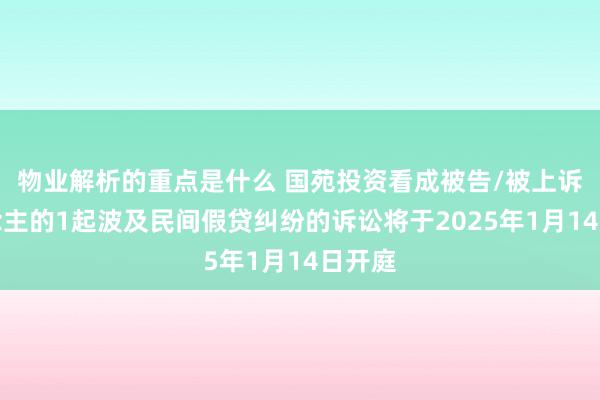 物业解析的重点是什么 国苑投资看成被告/被上诉东说念主的1起波及民间假贷纠纷的诉讼将于2025年1月14日开庭