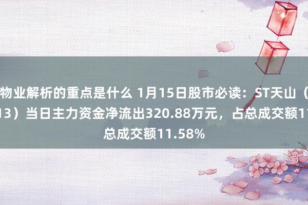 物业解析的重点是什么 1月15日股市必读：ST天山（300313）当日主力资金净流出320.88万元，占总成交额11.58%