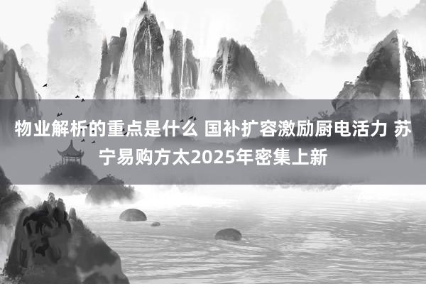 物业解析的重点是什么 国补扩容激励厨电活力 苏宁易购方太2025年密集上新