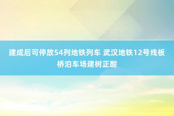 建成后可停放54列地铁列车 武汉地铁12号线板桥泊车场建树正酣