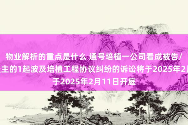 物业解析的重点是什么 通号培植一公司看成被告/被上诉东谈主的1起波及培植工程协议纠纷的诉讼将于2025年2月11日开庭