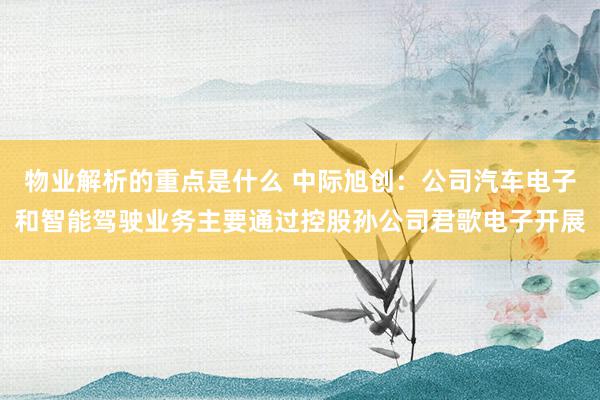 物业解析的重点是什么 中际旭创：公司汽车电子和智能驾驶业务主要通过控股孙公司君歌电子开展