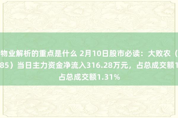 物业解析的重点是什么 2月10日股市必读：大败农（002385）当日主力资金净流入316.28万元，占总成交额1.31%