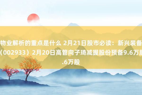 物业解析的重点是什么 2月21日股市必读：新兴装备（002933）2月20日高管向子琦减握股份预备9.6万股