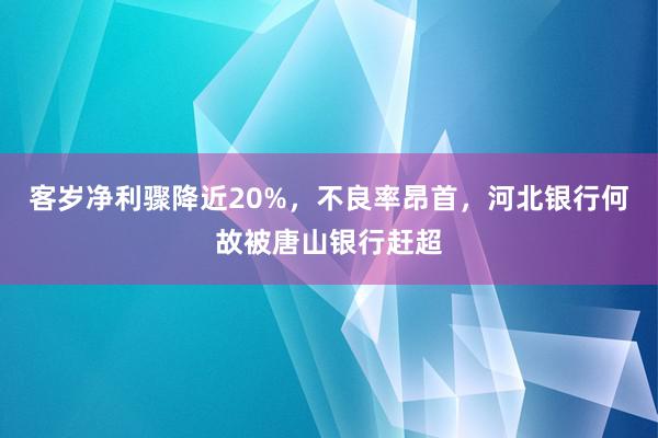 客岁净利骤降近20%，不良率昂首，河北银行何故被唐山银行赶超