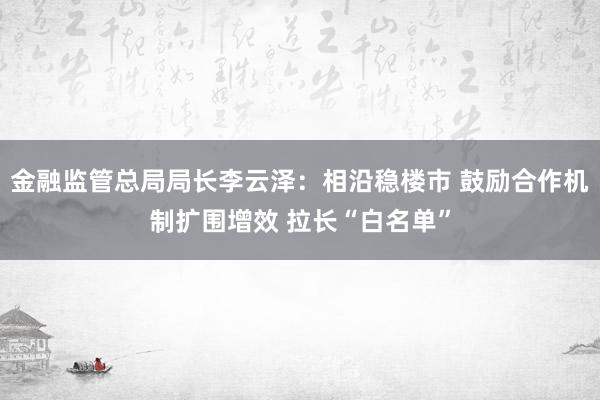 金融监管总局局长李云泽：相沿稳楼市 鼓励合作机制扩围增效 拉长“白名单”