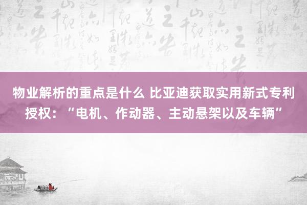 物业解析的重点是什么 比亚迪获取实用新式专利授权：“电机、作动器、主动悬架以及车辆”